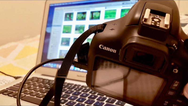 How to Transfer Photos from Canon Digital Camera to Computer: A Complete Guide