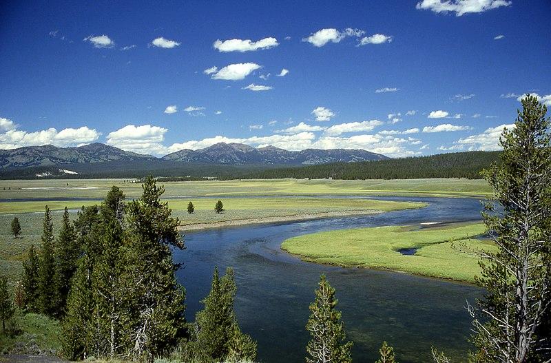 Yellowstone Scene